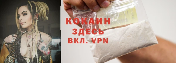 ALPHA PVP Кодинск