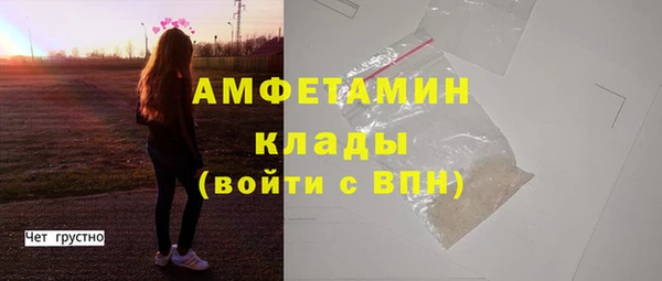 крисы Козельск
