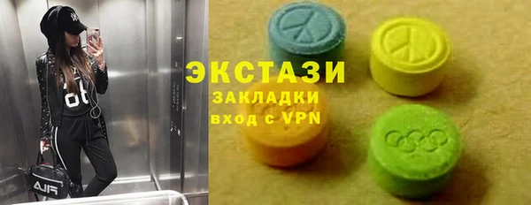 крисы Козельск