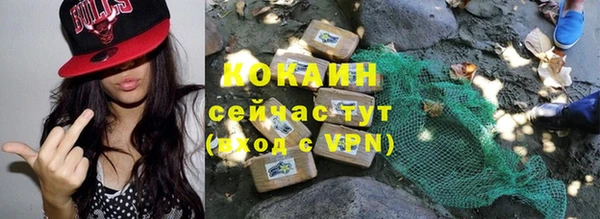 крисы Козельск