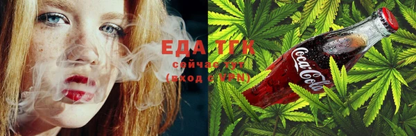 крисы Козельск