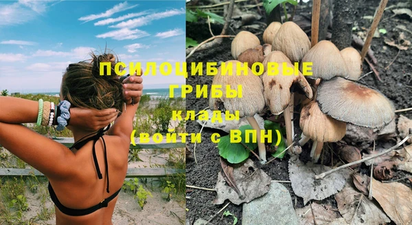 крисы Козельск
