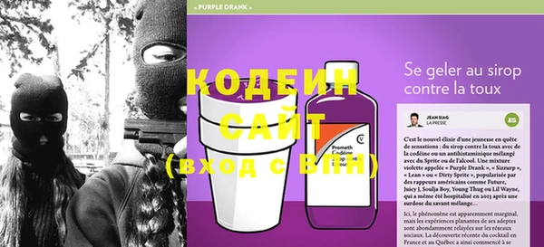 крисы Козельск