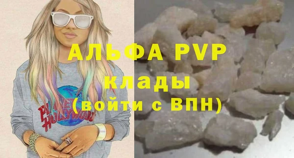крисы Козельск